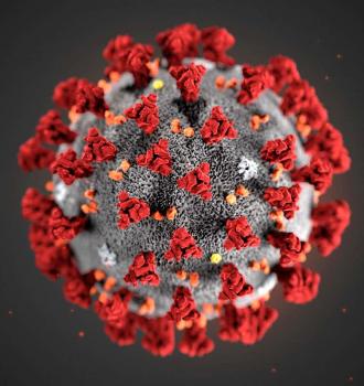 COVID Virus